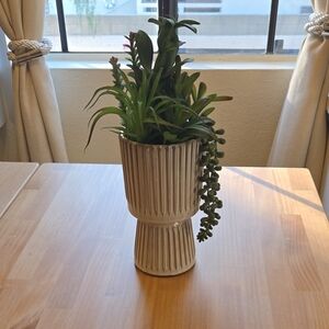 Elegant Cream Planter with Green Succulent